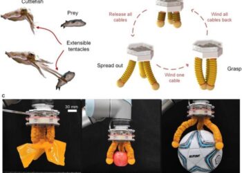 Bioinspired grasping of the origami gripper.