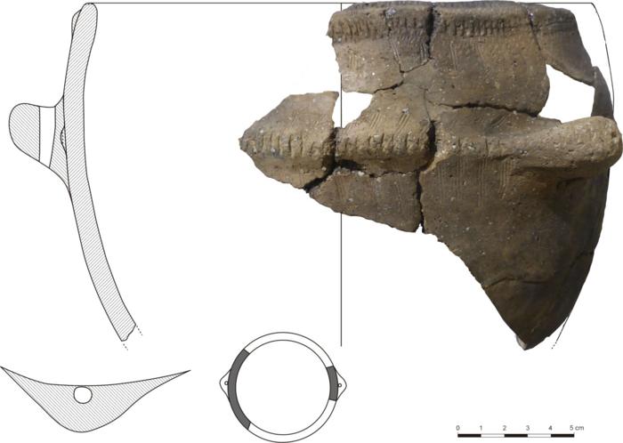 Direct evidence found for dairy consumption in the Pyrenees in the earliest stages of the Neolithic