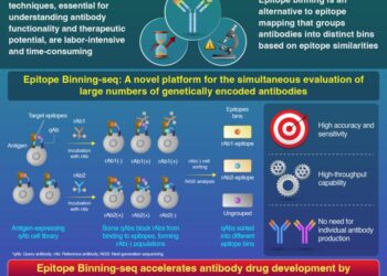 Enhancing Antibody Drug Discovery with Epitope Binning-seq Technology