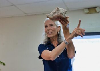 Conserving the Queen Conch