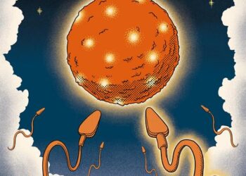 Artwork features an allegorical representation of a fertilization event whereby a fat spermatozoon