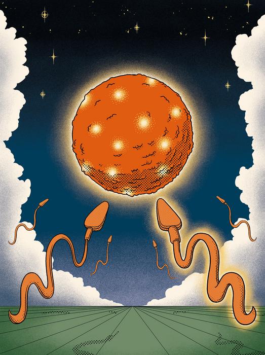 Artwork features an allegorical representation of a fertilization event whereby a fat spermatozoon
