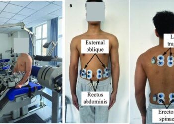 Simultaneous measurement of isokinetic muscle strength and spinal muscle EMG.
