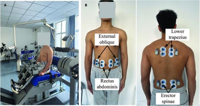 Simultaneous measurement of isokinetic muscle strength and spinal muscle EMG.