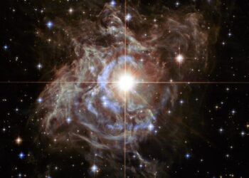 Cepheid Variable Star RS Puppis