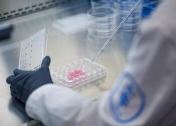 MSK Research Highlights, June 25, 2024