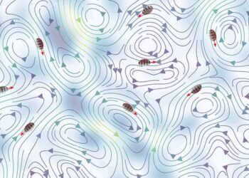 Model shows how plankton survive in a turbulent world