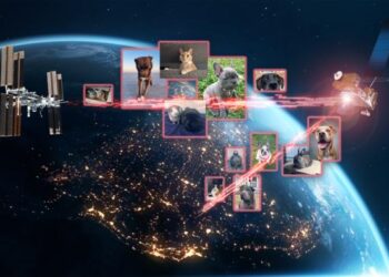 pet photos sent over laser links from Earth to LCRD
