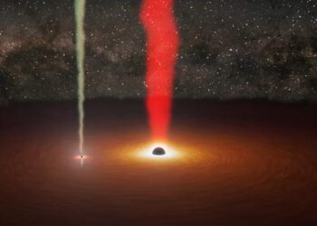 Illustration of the black hole pair