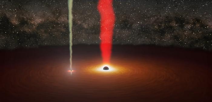 Illustration of the black hole pair