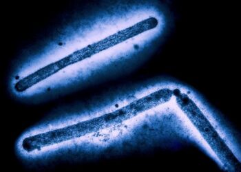NIH releases H5N1 influenza research agenda