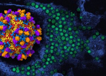 Enterovirus D68