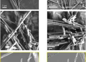 Image of asbestos fibers