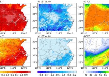 Background error correlation between LST and atmospheric temperature/humidity, and spatial distribution of total cloud cover.