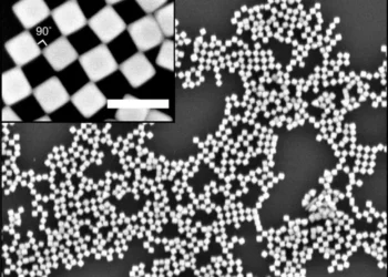 Self-assembled nano checkerboard