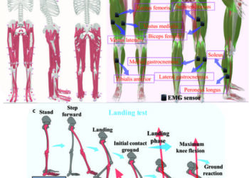 Overview of the data collection and the ACL model