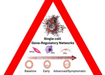Graphical abstract of single-cell gene-regulatory networks.