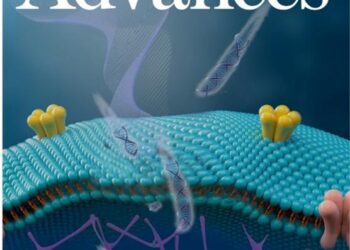 The achievement was selected as the cover of the journal for this issue. (Image by SIAT)