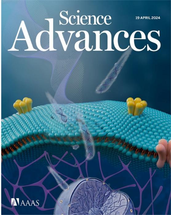The achievement was selected as the cover of the journal for this issue. (Image by SIAT)