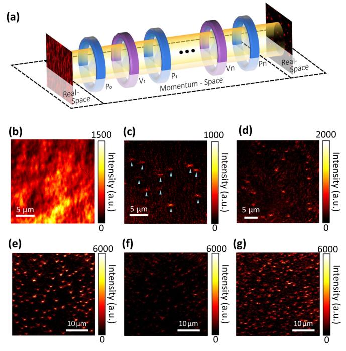 Cascaded momentum-space polarization filters enabled label-free black-field microscopy for single nanoparticles analysis