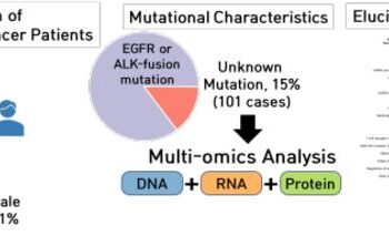 Overview of Genomic and Proteomic Analysis in Never-Smoking Lung Cancer Patients