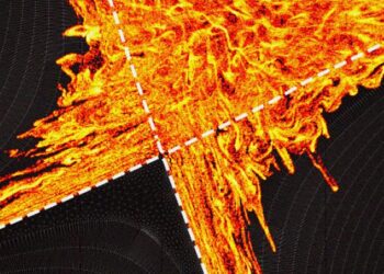 New plasma escape mechanism could protect fusion vessels from excessive