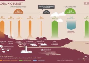 The Global Nitrous Oxide Budget