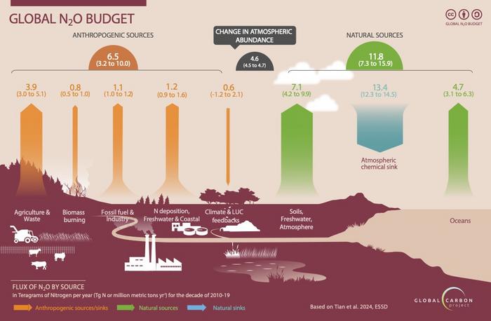 The Global Nitrous Oxide Budget