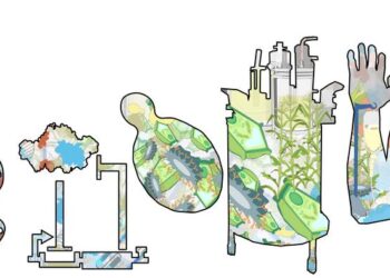 Levels of organization