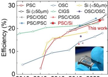 Ultrathin (~30 µm) flexible monolithic perovskite/silicon tandem solar cell