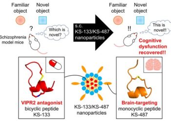Schematic of tailored and multi-functionalized nanoparticles to treat schizophrenia