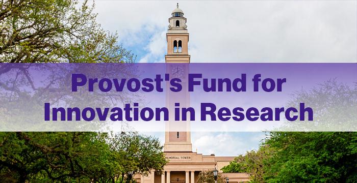2024 LSU Provost’s Fund for Innovation in Research