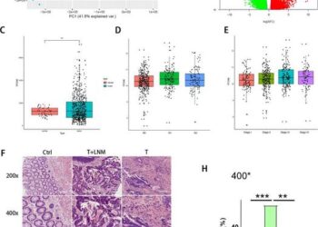 Expression of PFDN6 in patients with CRC.