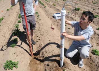soil sensors1-field test