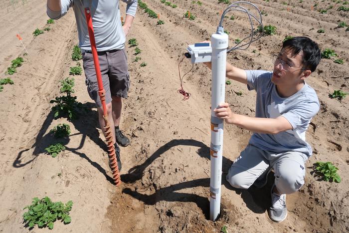 soil sensors1-field test