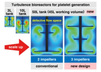 Turbulence Bioreactors for Platelet Generation