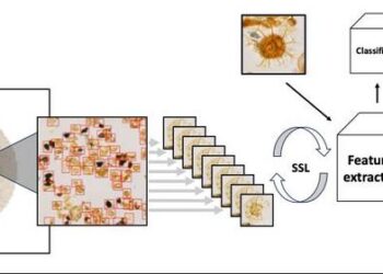 Microfossils are detected and used for training an AI model