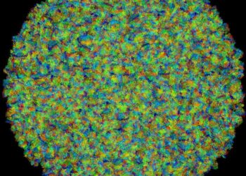 Mycoplasma simulation