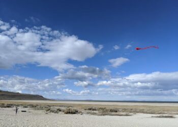 Kite flying at the Great Salt Lake in Utah