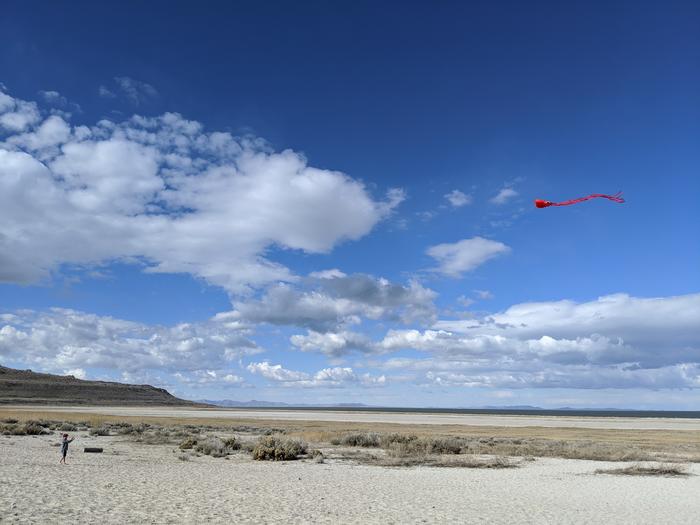 Kite flying at the Great Salt Lake in Utah