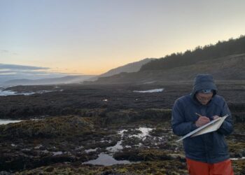 rocky shore surveying