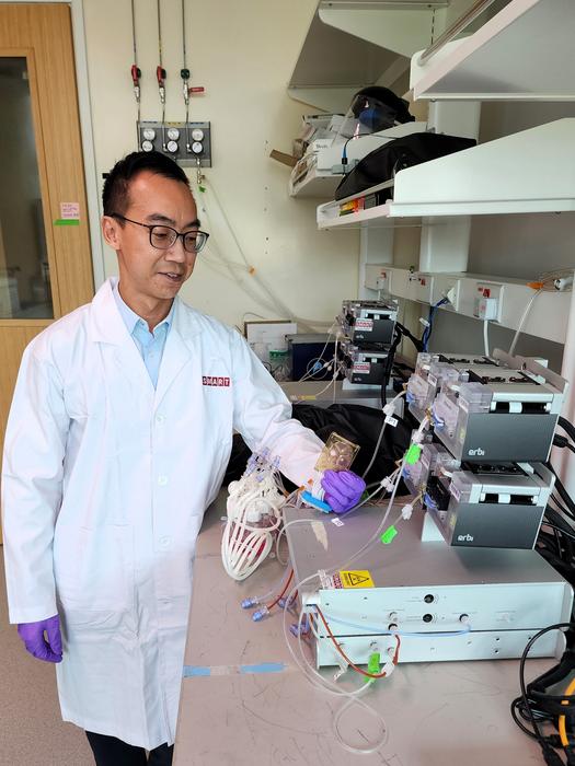 SMART researcher Dr. Wei-Xiang Sin holding the microfluidic chip within which T cells are activated, transduced, and expanded in a 2 millilitre growth chamber.
