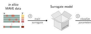 SQUID computational pipeline.