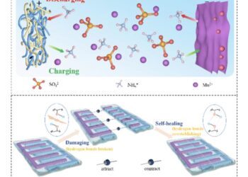 The manufacturing process, working principle, self-healing mechanism, fabrication process, and working mechanism of AMBs.