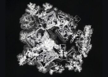 Potassium chloride