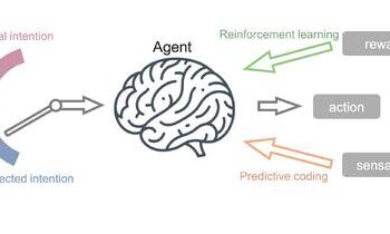 An agent learns to choose the best course of action