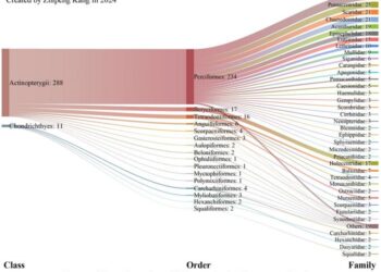Composition of coral reef fish species in Huaguang Reef