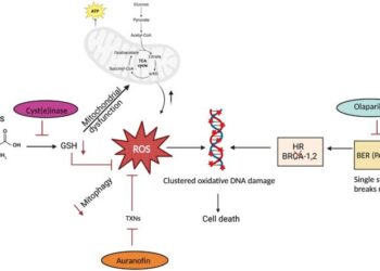 Oncotarget