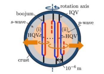 Quantum Vortex Network