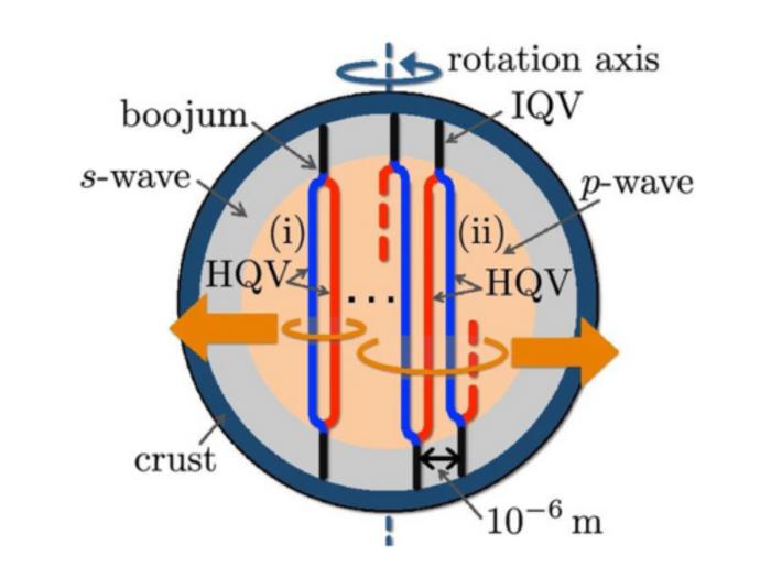 Quantum Vortex Network